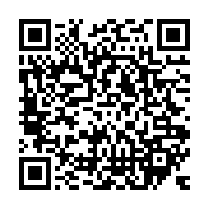 赫拉迪姆魔法议会发放给楚旬等人的指环不仅仅是身份的象征二维码生成