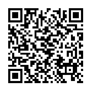 赫斯基果然不愧是培养出好几名的白银将领和老将二维码生成