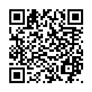 赫然便是刚刚返回天灾门复命的九幽二维码生成