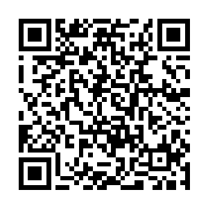 赫然便是那扬着双翅追击不休的火羽仙鹤的巨大身影二维码生成