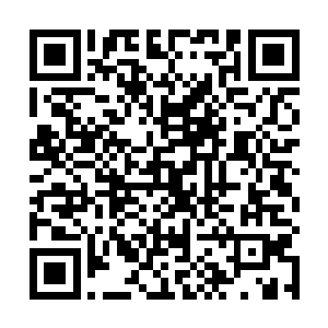 赫然发现一个约莫十四五岁的少年脸色煞白地跌倒在地二维码生成