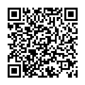 赫然发现巍巍长青秘术显化的巨树所在竟完好无损二维码生成