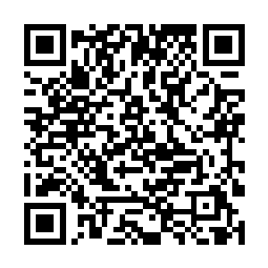 赫然发现此时空中的擂台只剩下她一个还在那里战斗二维码生成