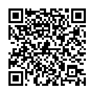 赫然和之前横亘在宇宙魔池和天界神国之间的迷雾颇为类似二维码生成