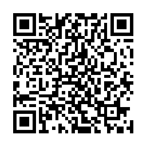 赫然在瞬间就蜕变成了一只身上有金红色条纹的美丽小蜻蜓二维码生成