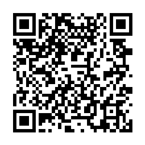 赫然多出了一项只有二阶魅影刺客才能掌握的技能二维码生成