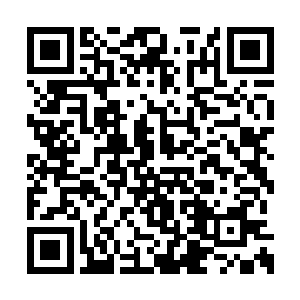 赫然就是掌握了一部分火焰规则之力的曦日巫师二维码生成