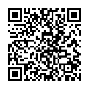 赫然是一个比青树村第一美人还要大上一号的胖美人二维码生成