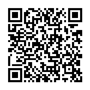 赫然是两个实力达到了大宗师级巅峰的神殿执事二维码生成