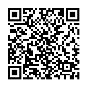 赫然是之前的时候灭杀的紫金天蜈的身上的那些坚甲二维码生成