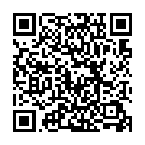 赫然是星风这一剑带上的内劲将他的五脏六腑皆震碎了二维码生成