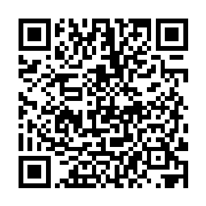 赫然是那上次在拍卖会中和自己争夺宝物的牡丹仙子二维码生成