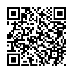 赫然显示着一个全新的被激活的血脉二维码生成