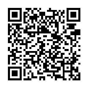 赫然正是东京里那些普通人化生成的那些力大无穷二维码生成