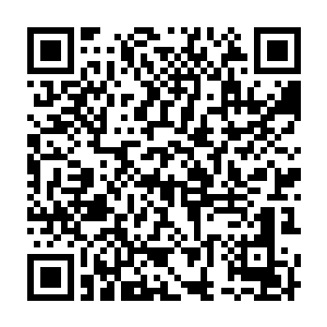 赫然正是之前的时候龙傲天从玄黄宗得到的玄黄宗至宝玄黄天地印二维码生成