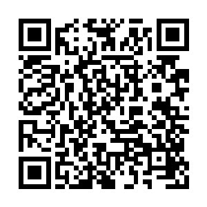赫茨尔将身边的重要人物一一向着张毅做了介绍二维码生成
