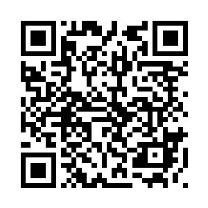 走丢了……哥哥可没有本事回去了二维码生成