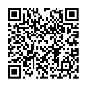 走了一会就看到山谷内一个巨大的药园出现在眼前二维码生成