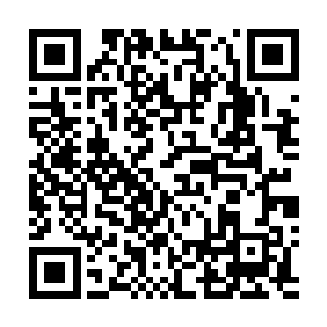 走了大半天了周围还是一成不变的枯燥树林看的有些无聊二维码生成