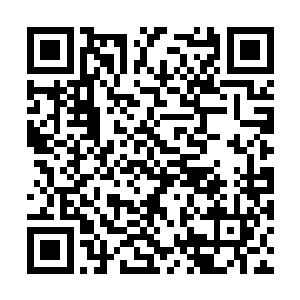 走了没多远的路就发现尾随她们的睿哥儿跟鲍晓霄二维码生成