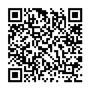 走入府内的勾越对一名王府的管事人员吩咐了一声二维码生成