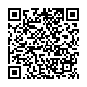 走出一条孙悟空那样的道路本身就是极小的几率二维码生成