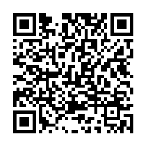 走出了乌灵家好远才想起来自己忘了把盆拿回来了二维码生成