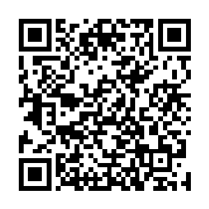 走出去老远了还不忘记跟祭祀做点好吃的犒劳犒劳大家伙二维码生成