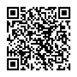 走到了外面坐到了廊架上把这些天发生的事情理了一下二维码生成