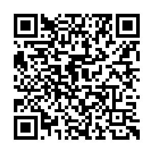 走到了柯滕凯的面前打量着他粉碎性骨折的右腿二维码生成