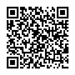 走到这一个地步也都是被这个环境一步一步逼的……二维码生成