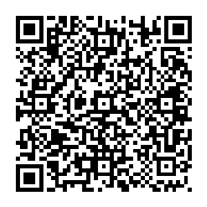 走向月入数万的高等保镖行列的特种兵们就像是一块巨大的馅饼砸在他们的头顶上二维码生成