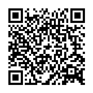 走尸匠难道是故意用女居士来作为让我精神崩溃的敲门砖二维码生成