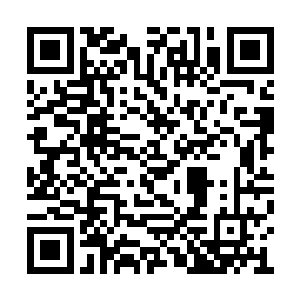 走廊和大厅两旁的那些雕塑也变得更加活灵活现二维码生成