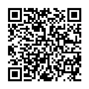 走狗屎运唱红了一首土包子歌的家伙成为绝对的话题中心二维码生成