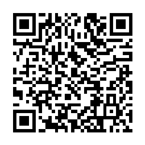 走的时候回头看了一眼依旧还挂着不少果实的粉果树二维码生成