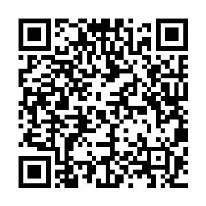 走过去把还在昏迷的林琳和被他弄昏的林雨馨抱起来安置好二维码生成