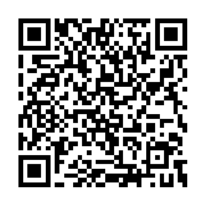 走近后木萦便能看到她的身体好似在微微颤抖着二维码生成