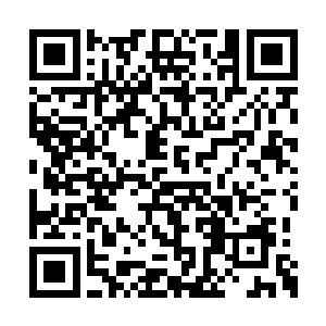 走进书房的是一位年纪大约十七八岁的中二青年二维码生成