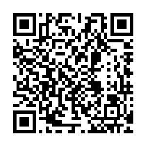 赵书平以及最开始就已经进入了丹院的优秀学生董军三人为首二维码生成