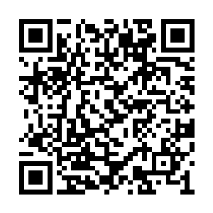 赵二丫又将另外的四块荷叶包都拿出来摆在桌上二维码生成