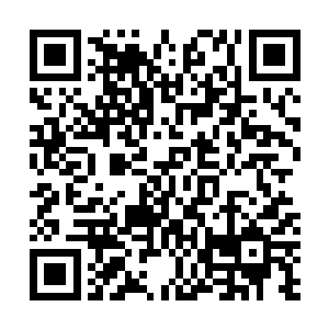 赵二丫和赵小五却担忧的看着苏落……心里焦急的不得了二维码生成