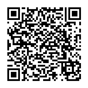 赵佳瑶的脑海中不由自主地浮现起龙老师第一天出现在九五之尊班的画面二维码生成