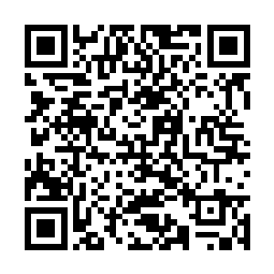 赵佶对于这个替他掌握禁军多年的臣子都有点淡了二维码生成