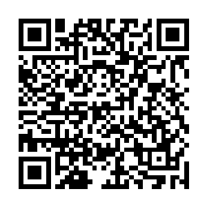赵名就看到了赵虎身前凭空出现两枚拳头大小的小火球二维码生成