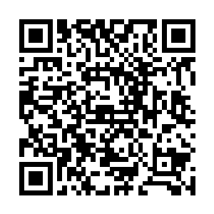 赵大山立刻拨通了主管大案要案的副局长薛兆国的电话二维码生成