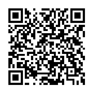 赵天冲和鲁铁山在李耀面前也没了特招生的架子二维码生成