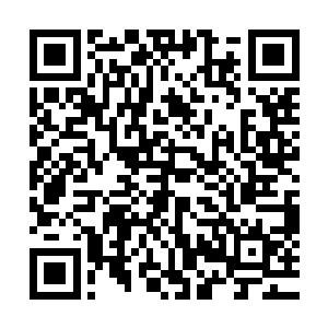 赵天宇用手指了指抓他的那名警察沈二狗和审讯室外面的夏天二维码生成