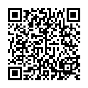 赵天泽总算明白钱通之前说的那句人不可貌相到底是什么意思了二维码生成