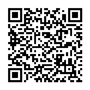 赵姐听说原来是春城天鹏娱乐公司的幕后老板顾家航二维码生成